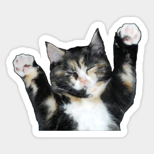 Kittycat Sticker